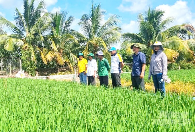 Thông tư 60/2025/TT-BNNMT: Tạo đột phá, nâng tầm khuyến nông từ cơ sở